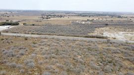 70 +/- Acres HWY 16 Atascosa County 