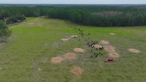 South Lake County Ranch and Hunting Tract