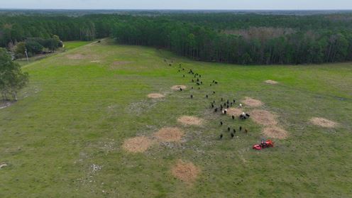 South Lake County Ranch and Hunting Tract