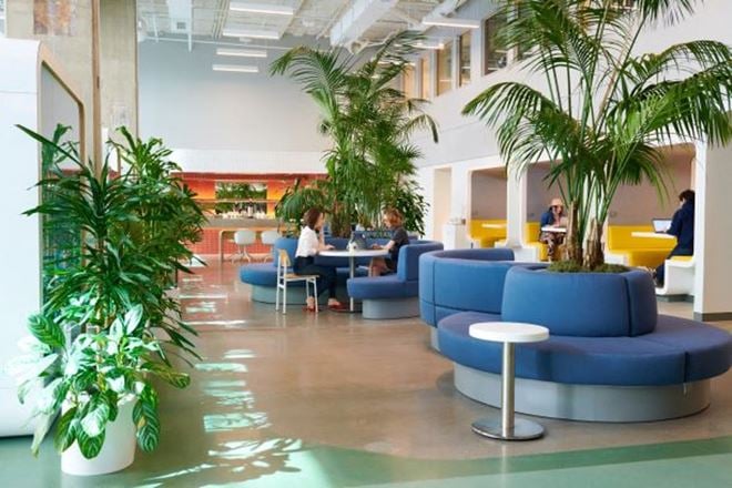 Hatchways Workspace - Hatchways