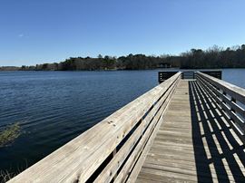 1.00 AC MHP LAND HOME SALE CAPACITY OR WORKFORCE HOUSING MULTIFAMILY UTILIZATION, Clarendon County, SC 29102