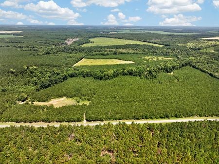 VacantLand space for Sale at 0 Upper River Rd in Hawkinsville