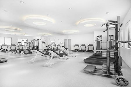 Photo of commercial space at 325 Dr Martin Luther King Jr St S in St Petersburg