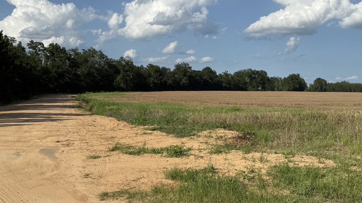 3- 4.16 acre tracts- Hwy 71 & Mission Road
