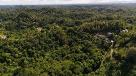 Arecibo Vacant Land @ Arrozal Ward - For Sale