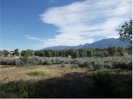 Frontier Road