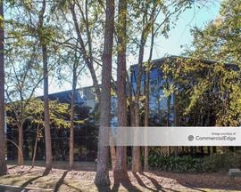 II Kingwood Place