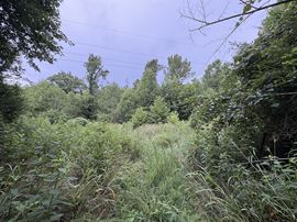 152.86± Acre Land Assemblage - Knox Ln & Beech St, Clarksville TN