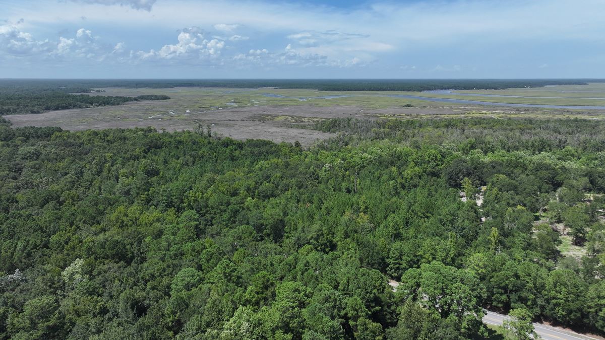 113 Marshfront Acres in McIntosh County Georgia