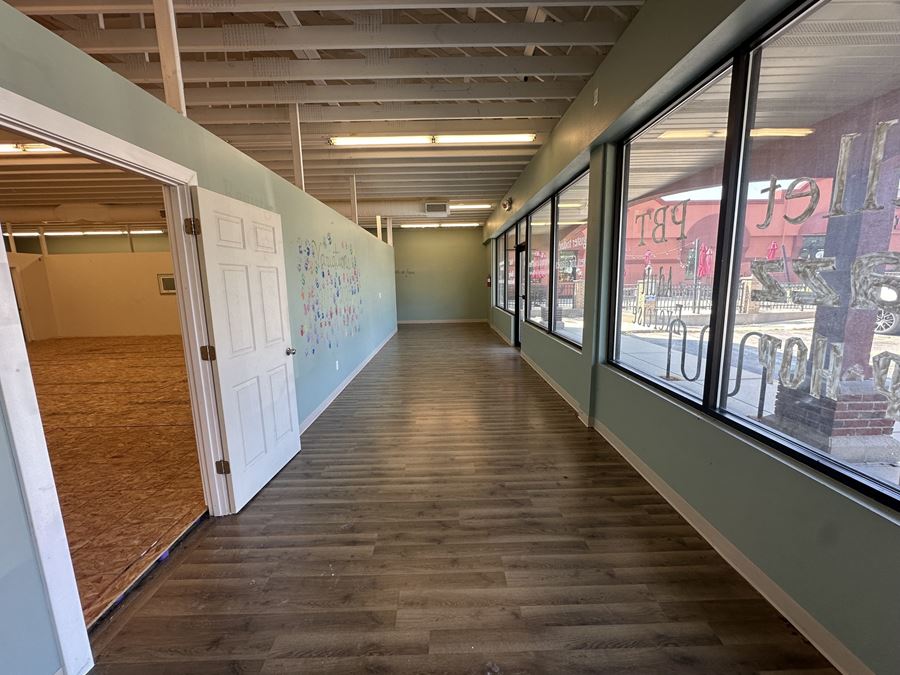 Dance & Exercise Suite