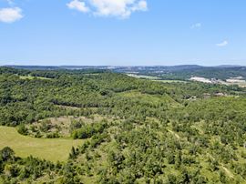 Letitia Lane - Greenland Acreage