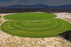 Pechstein Ranch
