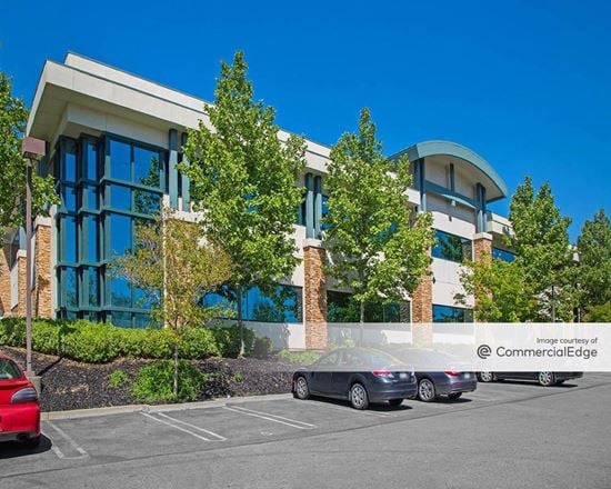 Mammoth Professional Building