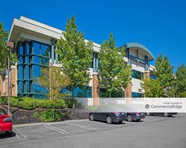Mammoth Professional Building