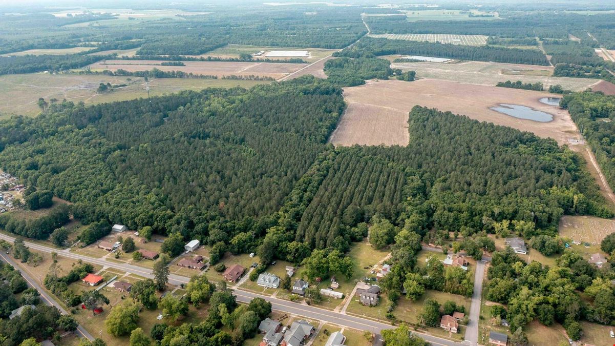 51.46 Acres of Land FOR SALE in Olar, SC