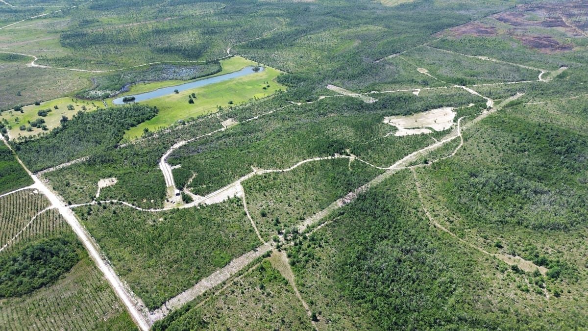 Bay County Acreage