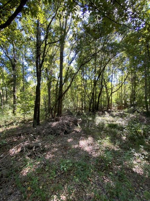 Bayou Desiard - 62.5 Acres