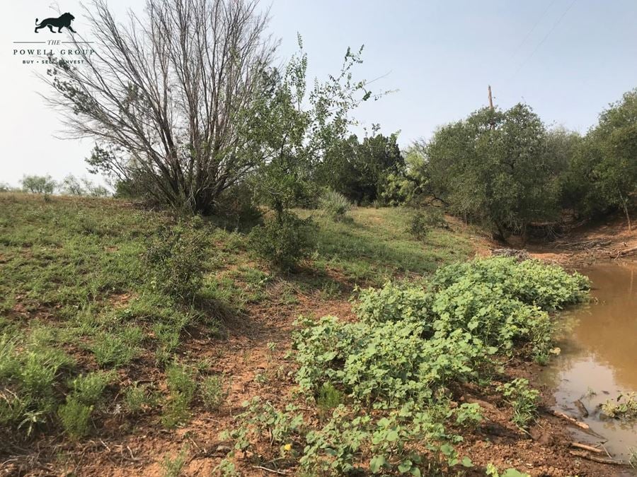 80-Acre Ranch in Flomot, Texas