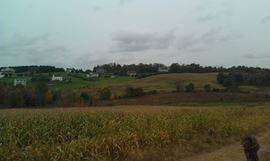 Large Land Parcel Goshen