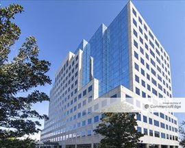 The Madison