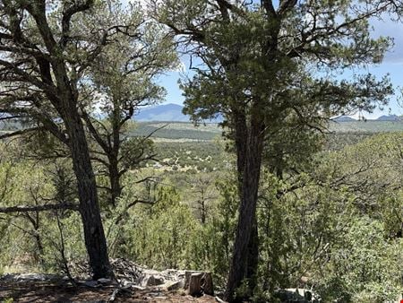 Land space for Sale at 44 forest rd 321 estancia nm 87016 in Estancia