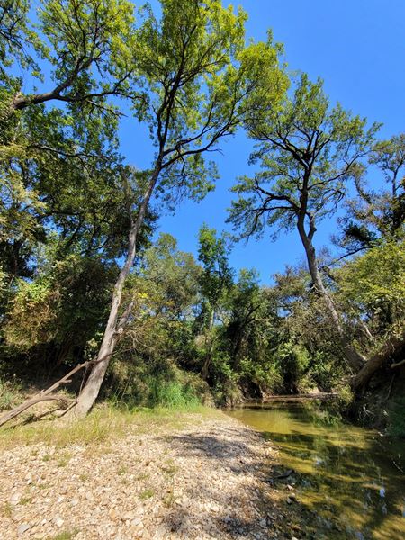 260 Acres of Texas Timberland on Little River! - Holland