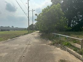 Development Opportunity