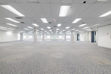 200      Galerie de photos de l'espace 3