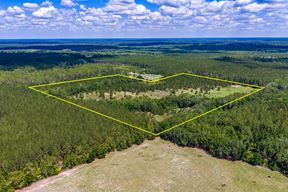 East Alachua County 35 Acre Recreation Tract