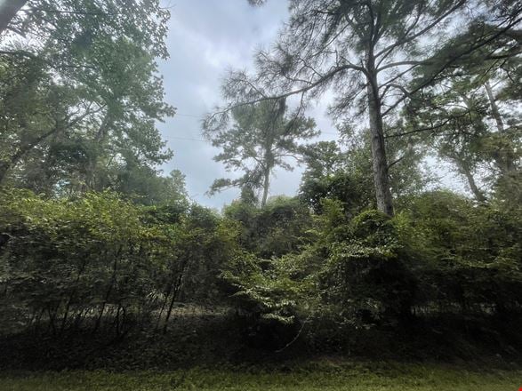 3440 Corolla Rd