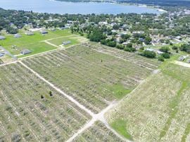Babson Park Transitional Land