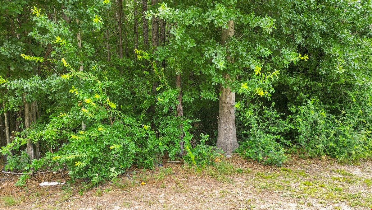FM 1960 W Corridor/ Deerbrook Park Blvd – ±6 Acres Ready for Commercial or Mixed-Use Growth