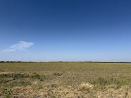 21.33 ACRES - CR 153 & CR 155 ABILENE TX