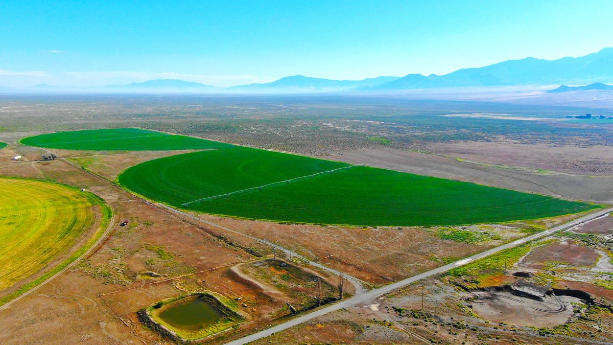 Nye County NV Alfalfa Farm with Pivots, Water Rights