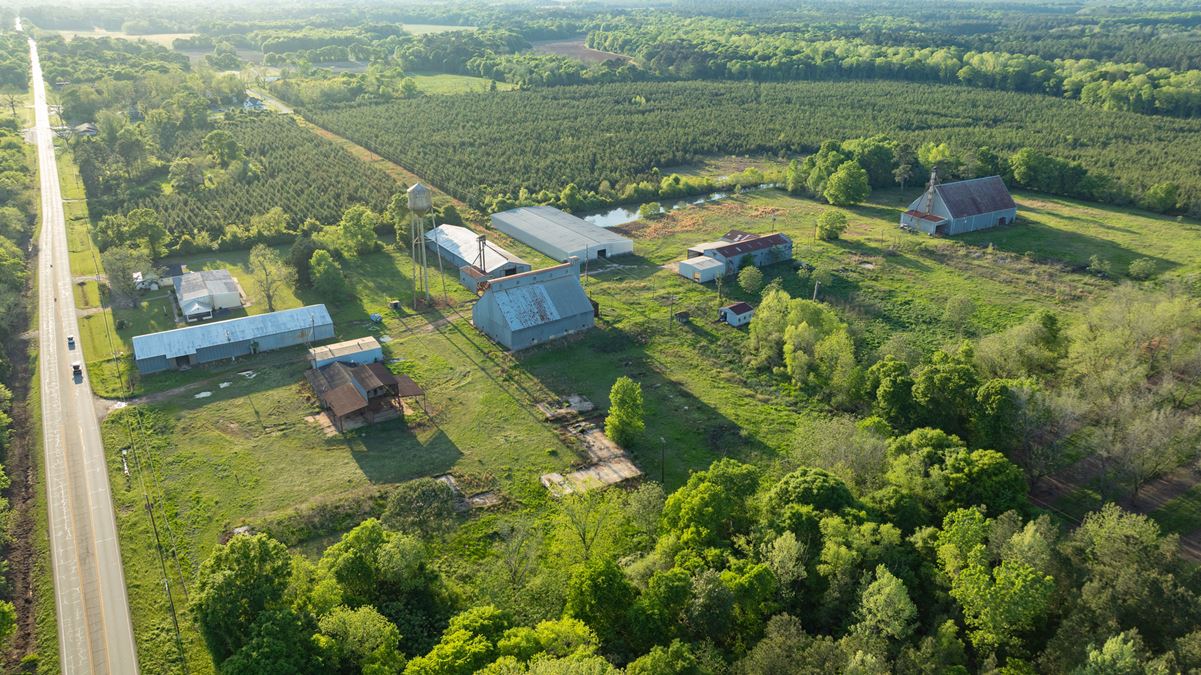 De Soto, Georgia - Peanut/Cotton Warehouses