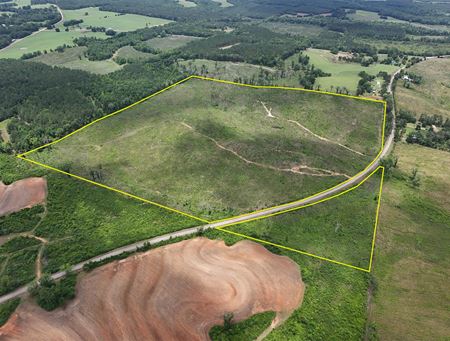 VacantLand space for Sale at 0 County Road 75 in Clopton