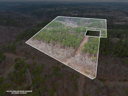 Photo of commercial space at Jordan Dr in Eureka Springs