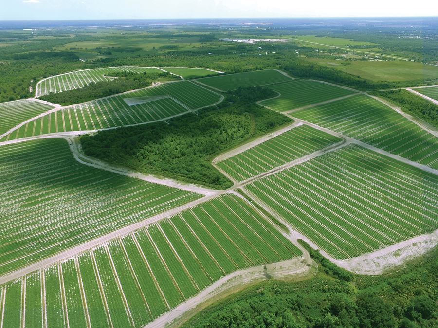 Manatee County Farm Land