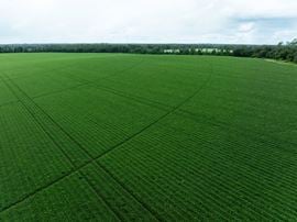 Rollings Farm - Madison County