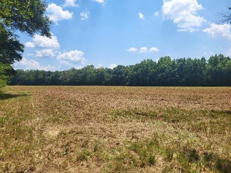 Photo of commercial space at  1604 Old Canton Rd N in Canton