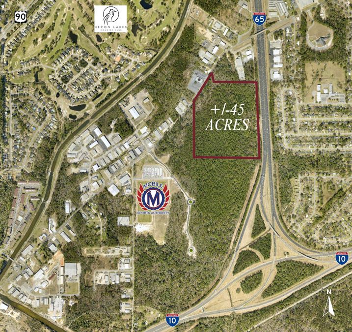 +/-45 Acres between Halls Mill Road & I-65