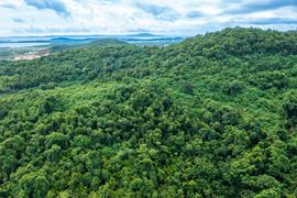 Vacant Land - 78 Cuerdas with Ocean Views @ Ceiba - For Sale