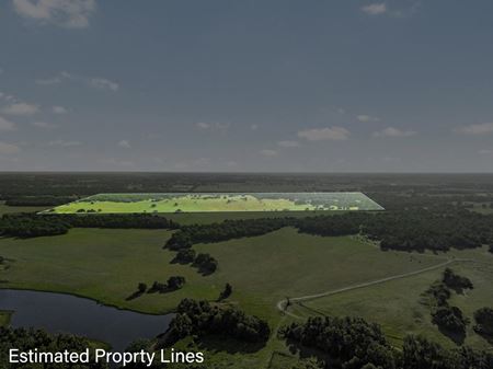 Photo of commercial space at TBD Little Mississippi Cemetery Road in Franklin