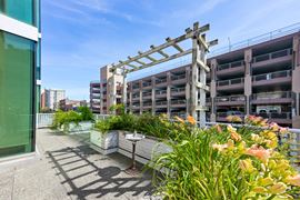 210 - 730 View St