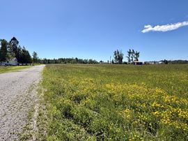 10900 Townline Rd