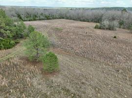 Everly Place Homesite