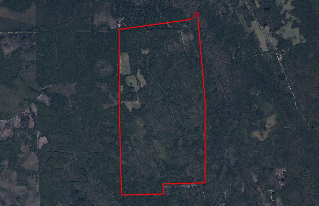 Flagler County Land Investment and Recreational Tract