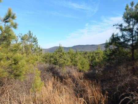 VacantLand space for Sale at Hwy 227 in Attalla