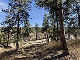 ±0.95 Acre Transitional Land Opportunity | Evergreen