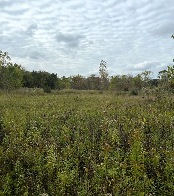 Industrial Vacant Land for Sale in Northfield Twp